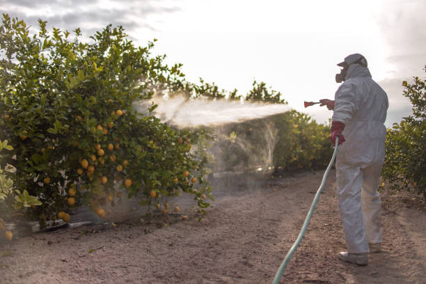 Professional Pest Control in Chilton, WI