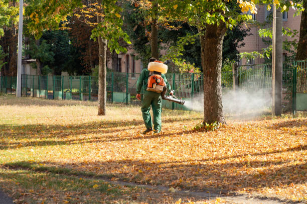 Best Wildlife Control Services  in Chilton, WI