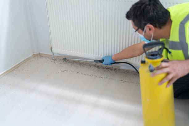 Best Flea Control Services  in Chilton, WI